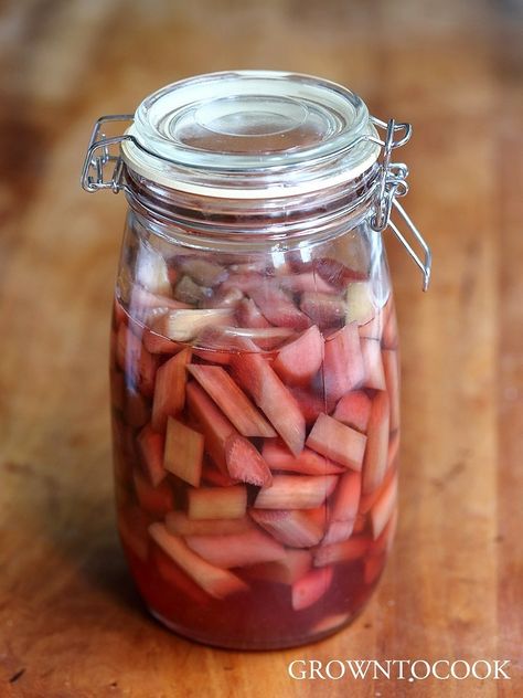 Rhubarb Liqueur Recipes, Rhubarb Vodka, Rhubarb Liqueur, Campari Cocktail, Homemade Liquor, Liquor Recipes, Liqueurs Recipes, Vodka Recipes, Sazerac