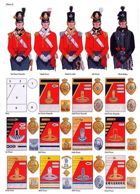 British Infantry Napoleonic Wars, Napoleonic British Uniforms, Napoleonic Wars Uniforms, Silver Bayonet, British Army Regiments, First French Empire, Century Uniforms, British Army Uniform, Army Poster