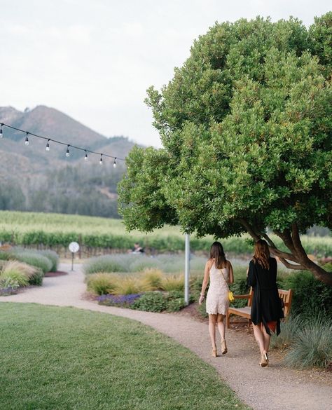 The Night Before ✨⁠ ⁠ We love helping our couples with a thoughtful and entertaining way to bring your friends and family together before the wedding day.⁠ ⁠ Often referred to as welcome receptions or rehearsal dinners, these events are great opportunities to introduce your inner circle and grow the anticipation for your wedding day.⁠ ⁠ Allison and Brett hosted their welcome reception at St. Francis Winery with heavy hors d'oeuvres, delicious wines, lawn games, live cigar rolling and a talent... Before The Wedding, Family Together, Lawn Games, Inner Circle, St Francis, Rehearsal Dinners, Our Love, How To Introduce Yourself, Lawn