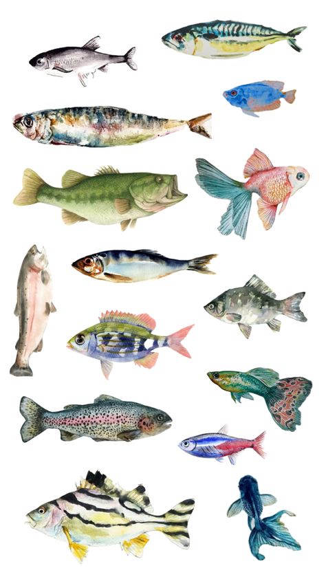 watercolour fish inspo Watercolour Fish Paintings, Sardine Watercolor, Ocean Magazine, Pastel Fish, Watercolour Fish, Art Documentation, Fish Collage, Illustration Fish, Fish Aesthetic