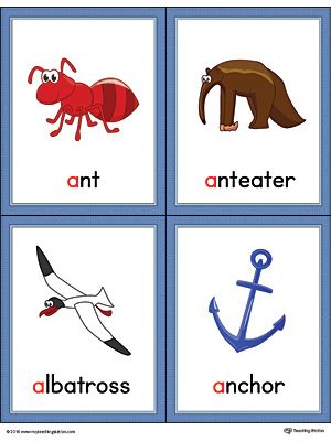 Letter A Words and Pictures Printable Cards: Ant, Anteater, Albatross, Anchor (Color) Worksheet.The Letter A Words and Pictures Printable Cards can be used for flashcards, various games and/or help your student associate unfamiliar words with a picture. Colorful picture cards for ant, anteater, albatross, and anchor. A For Ant, Alphabet Word Wall Cards, Alphabet Poem, Alphabet Word Wall, Letter A Words, Color Worksheet, Letter Sound Recognition, A Words, Montessori Teaching