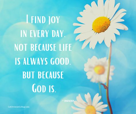 I find joy in every day, not because life is always good, but because God is. -Unknown or possibly Rick Warren Find Joy In Every Day Quotes, Every Day Quotes, Encouraging Scriptures, Love And Logic, Rick Warren, Bible Verses For Women, Happy Sabbath, Everyday Quotes, Godly Relationship