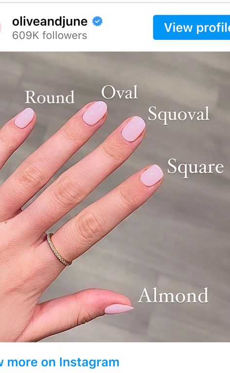 Slightly Rounded Nails, Short Nails Round Shape, Short Almond Nail Colors, Medium Length Round Nails, Small Oval Nails Design, Fall Nails Oval Shape Short, Short Sqovalnails Ideas, Short Full Set Nails, Short Round Dip Nails