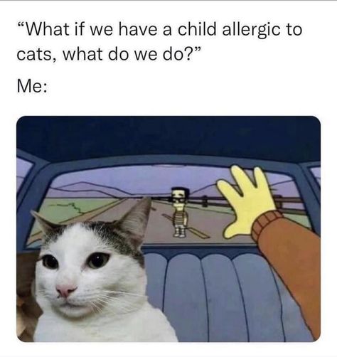 Cat Allergy Memes, Allergies Funny, Allergic To Cats, Cat Allergies, Pet Allergies, Cat Meme, Cat Parenting, Parenting Memes, Memes Br