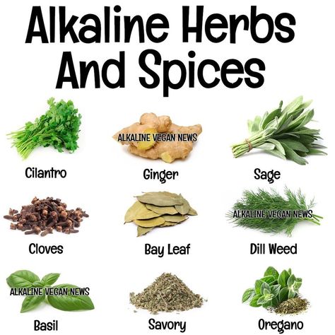 Dr Sebi Herbs, Alkaline Herbs, Alkaline Breakfast, Alkaline Vegan, Homeopathy Remedies, Vegan Memes, Dr Sebi, Alkaline Diet, Alkaline Foods