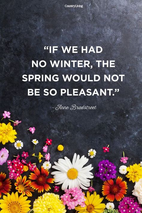 Anne Bradstreet Spring Quote Spring Quote, Spring Quotes, Sunday Quotes, Garden Quotes, Life Quotes Love, Human Soul, Flower Quotes, Happy Spring, Charles Dickens