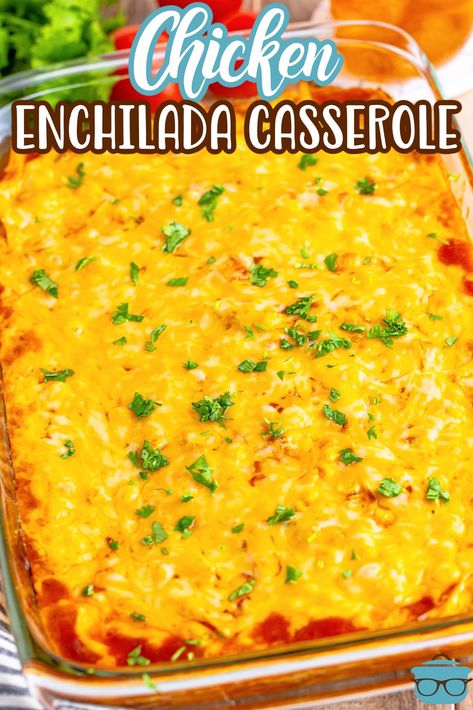 Shredded Chicken Enchiladas Easy, Best Enchilada Casserole, Chicken Enchiladas With Corn Tortillas, Casserole With Shredded Chicken, Light Healthy Meals, Chicken Enchilada Casserole Easy, Layered Enchiladas, Enchilada Casserole Chicken, Cheese Enchilada Sauce