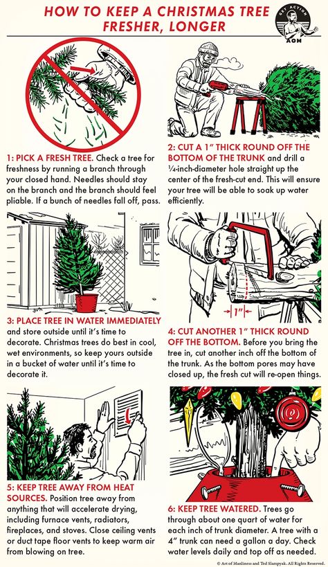 How to Keep Your Christmas Tree Fresher, Longer | The Art of Manliness Minimalist Tips, Christmas Clipart Free, Christmas Tree Decorating Ideas, Tree Decorating Ideas, Christmas Tree Lots, Manly Stuff, Christmas Tree Decorating, Plastic Christmas Tree, Art Of Manliness