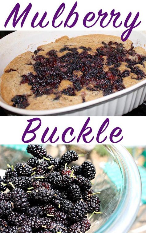 A buckle is sort of like cake-meets-pie in a messy and delicious way. You can use mulberries, blackberries, or any seasonal berries in this recipe. Appalachian Cooking, Mulberry Recipes, Awesome Desserts, German Foods, Mulberry Bush, Berry Recipes, Eating Vegan, Vegan Pie, Berries Recipes