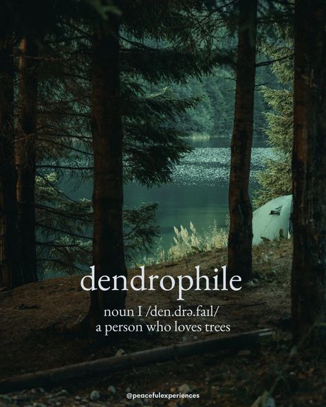 Dendrophile Quotes, Dendrophile Aesthetic, Soul Journey, Words To Describe Someone, Unique Words Definitions, Words That Describe Feelings, Uncommon Words, Soothing Quotes, Word Nerd