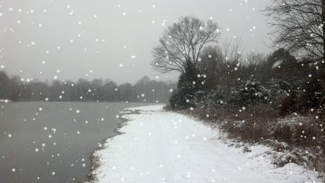 Animated gif of snowing. Snow Banner Gif, Snow Gif Banner, Snow Gif, Banner Gif, Snow Scenes, Anime Scenery Wallpaper, Scenery Wallpaper, Anime Scenery, Animated Gif