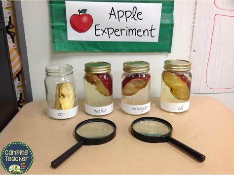 I'm trying to incorporate more science experiments in my classroom this year. My 1st and 2nd graders had such a wonderful time with our A... Apples Experiment, Apple Experiment, Vetenskapliga Experiment, Preschool Apple Theme, Apple Kindergarten, Science Experience, Apple Lessons, Maluchy Montessori, Apple Preschool