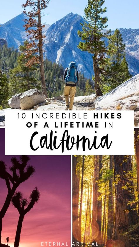 Hiking Northern California, Backpacking California, What To Pack For Hiking, Hiking In California, San Francisco Hikes, Northern California Hikes, Hikes In California, Hiking California, Bay Area Hikes