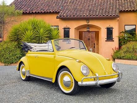 Vw Bug Convertible, Volkswagen Convertible, Cars Volkswagen, Volkswagen Beetle Vintage, Vw Beetle Convertible, Volkswagen Aircooled, Volkswagen Beetles, Volkswagen Beetle Convertible, Volkswagen New Beetle