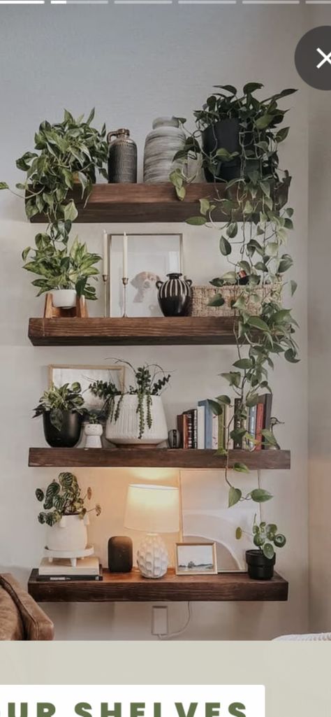 Minimalist Decor With Plants, Dinning Room Wall Shelf Decor, Shelf Organization Ideas Living Room, Picture Plant Wall, Greenery Shelf Decor, Boho Shelving Decor, Indoor Plants Shelves Display, Kitchen Plant Shelf Decorating Ideas, Plant Wall Ideas Indoor Farmhouse