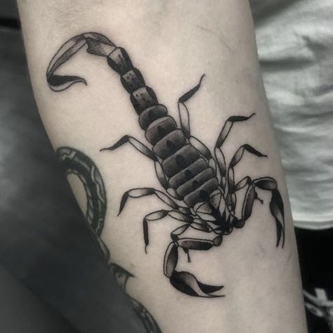 Scorpion Knee Tattoo, Fire Tattoos, Backpiece Tattoo, Scorpion Tattoo, Fire Tattoo, Knee Tattoo, Manado, Minimalist Tattoo, Leg Tattoos