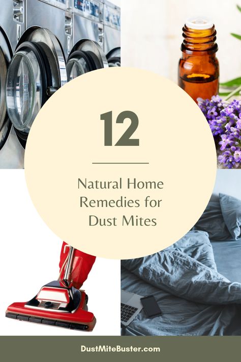 Natural Home Remedies For Dust Mites Dust Allergy Remedies, Dust Mite Allergy, Speck Of Dust, Urban Myth, Dust Allergy, Natural Disinfectant, Allergy Remedies, Diatomaceous Earth, Dust Mites