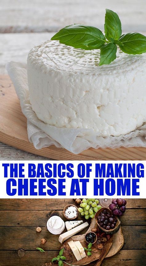 Crock Pot Yogurt, Make Cheese At Home, Making Cheese At Home, Cheese Recipes Homemade, Cheese Making Recipes, Cheese At Home, Making Cheese, Diy Cheese, Butter Cheese