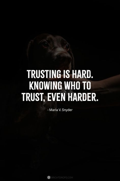 Trusting is hard. Knowing who to trust, even harder. Trusting Others Quotes, Trust Quotes In Hindi, Trustworthy Quotes, Quotes About Trust, Trusting Yourself, Communication Quotes, Jealousy Quotes, Sorry Quotes, Dont Deserve You