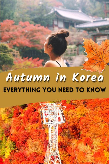 Best Time To Visit South Korea, Seoul In October, What To Wear In Korea Autumn, Korea In October, Korea Fall Fashion, Korea Autumn Fashion, South Korea Fall, Nami Island Autumn, Korea Weather