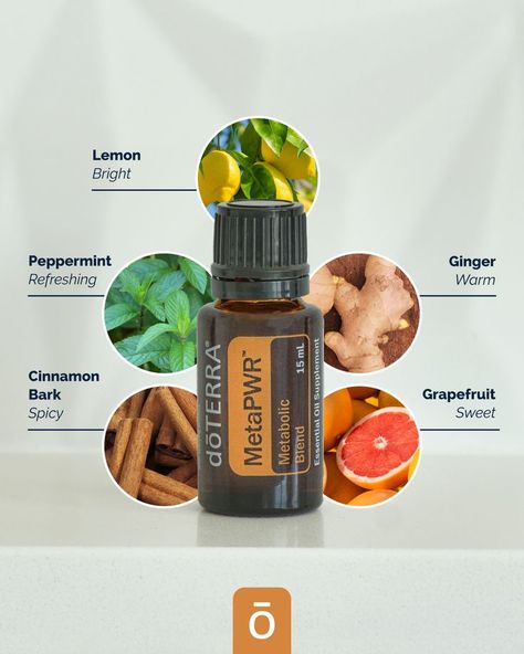 The MetaPWR Metabolic Blend is comprised of these five powerful essential oils! This proprietary balanced ratio of CPTG® Grapefruit, Lemon, Peppermint, Ginger, and Cinnamon Bark essential oils is one of our most beloved essential oil blends. Cinnamon Bark Essential Oil, Doterra Oil, Doterra Essential Oils Recipes, What Are Essential Oils, Essential Oils Herbs, Essential Oils Health, Personal Wellness, Cinnamon Bark, Homemade Soap Recipes