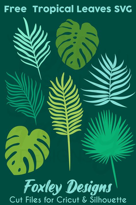 Free Tropical Leaves SVG Bundle: Monstera, Palm, and Jungle Leaf SVGs for Download - Enhance your designs with lush tropical foliage. Explore our collection of high-quality tropical leaves SVGs available for free download Cricut Monstera Leaf, Palm Leaves Svg Free, Tropical Leaf Pattern Printable, Tropical Leaves Svg Free, Cricut Palm Leaves, Palm Leaf Svg, Tropical Svg Free, Vbs Jungle, Tropical Svg