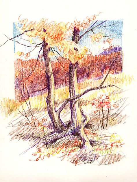 Colored pencil on white paper, from my Sierra Club Guide to Sketching in Nature. Colored Pencil Nature Drawings, Art Inspiration Drawing Sketches Colored Pencils, Colorpencils Drawing Nature, Color Pencil Inspiration, Color Pencil Illustration Sketches, Drawings Colored Pencils Ideas, Pencil Crayon Art, Drawing Of Nature, Drawing Natural