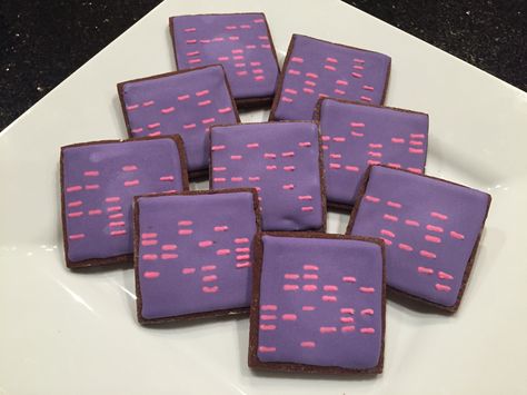 DNA decorated sugar cookies. Royal icing. Purple, pink. Gel electrophoresis. Square. Chocolate. Biology Themed Cookies, Lab Tech Graduation Party, Biology Themed Party, Biology Cookies, Science Desserts, Science Cookies, Gel Electrophoresis, Sugar Cookies Royal Icing, Science Cake