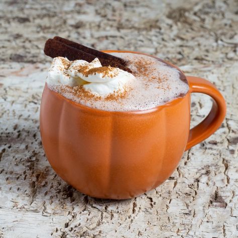 Pumpkin Spiced Hot Cocoa | deZaan Cinnamon Cookies, Autumn Recipes, Caramelized Sugar, Vanilla Paste, Hot Cocoa Mixes, Pumpkin Pecan, Cocoa Mix, Ginger And Honey, Cinnamon Powder