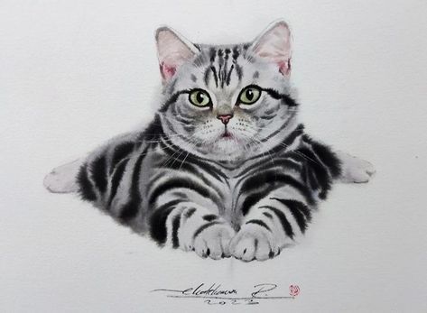 Mancoon Cat Drawing, Mancoon Cat, Mancoon Cats, Cats Art Drawing, Illusion Drawings, Cat Art Illustration, Animal Artwork, Cats Art, Animals Artwork