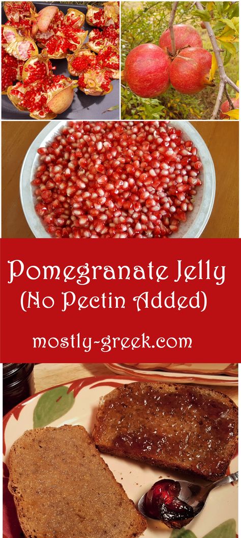 Pomegranate Jelly Homemade, Pomegranate Jelly Recipe, Pomegranate Jam No Pectin, Palmagranet Recipe, Pomegranate Jam Recipe, Canning Pomegranate, Pomagranet Recipe, Apple Pectin Recipe, Pomegranate Recipes Dessert