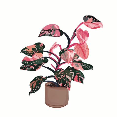 Digital drawing of a pink princess philodendron plant Philodendron Pink Princess Drawing, Pink Princess Philodendron Tattoo, Philodendron Drawing, Pink Leaf Plant, Pathos Plant, Plant Tattoos, Pink Princess Philodendron, Princess Philodendron, Plant Doodle