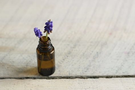 15 Ways to Reuse Essential Oil Bottles Homemade Fly Spray, Air Freshener Recipes, The Prairie Homestead, Prairie Homestead, Homemade Air Freshener, Benefits Of Essential Oils, Essential Oils For Colds, Oils For Sleep, Essential Oils For Sleep