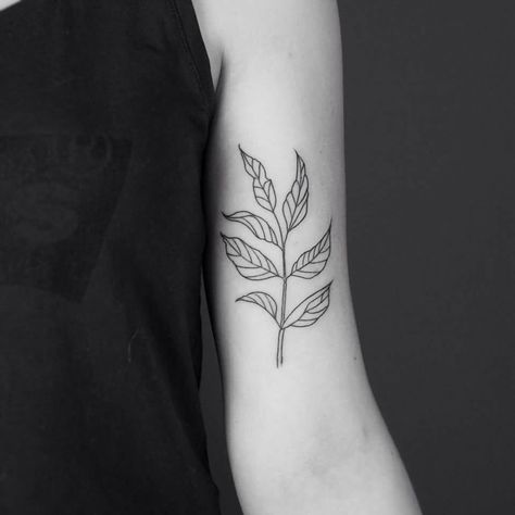 Walnut tree branch, first tattoo, Thank You. Done at @cocoschwarz #handpoke Leaf Tattoo, Branch Tattoo, Walnut Tree, Hand Poked Tattoo, Poke Tattoo, Hand Poke, Tree Tattoo, My Works, First Tattoo