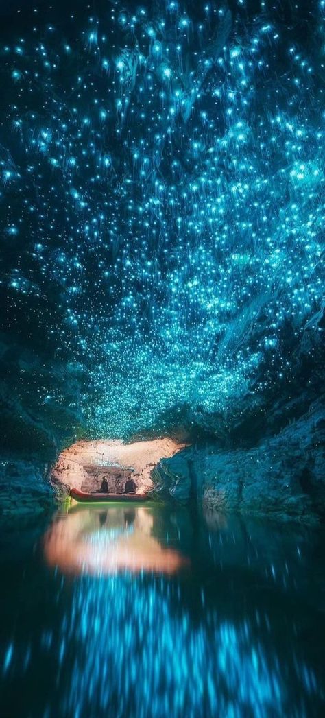 Waitomo Glowworm Caves, Nova Zelândia Waitomo Glowworm Caves, Glowworm Caves, Waltz, Ghost, Wallpapers, Quick Saves