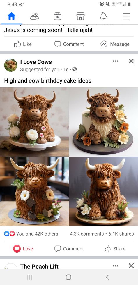 Highland Cow Gender Reveal Cake, Scottish Cake Decoration, Fluffy Cow Cake, Highland Cow Birthday Cake, Highland Cow Birthday Party, Highland Cow Cake, Cow Patterns, Cow Birthday Cake, Cow Food