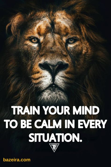 Train Your Mind To Be Calm In Every Situation, How To Be Calm In Every Situation, Stay Calm Quotes, Lion Motivation, Apple Pudding, Apologizing Quotes, Backyard Gym, Situation Quotes, Wisdom Thoughts