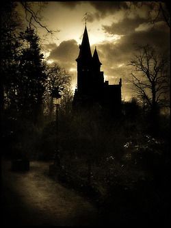 dark castle Dark Castle, Spooky Places, Dark Gothic, Haunted Places, Making Music, Dark Places, Gothic Art, White Photo, The Darkness