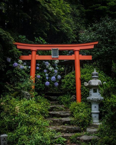 Japanese Gate, Japanese Forest, Japanese Shrine, Japan Landscape, Torii Gate, Japanese Temple, Desain Lanskap, Japanese Garden Design, Japanese Landscape