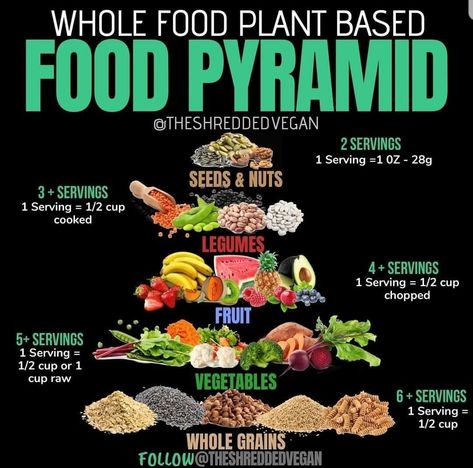 Plant Based Food Pyramid, Vegetarian Food Pyramid, Vegan Infographics, Vegan Food Pyramid, Vegan Starter, Plant Based Protein Sources, Vegan Starters, Vegan Protein Sources, Vegan Diet Plan