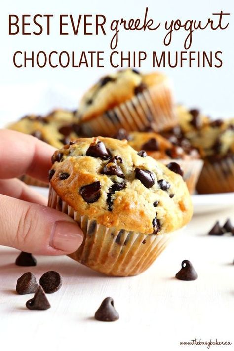 These Best Ever Greek Yogurt Chocolate Chip Muffins are the perfect low-fat sweet snack made with Greek yogurt! They're quick and easy to make, and they're perfectly moist and tender! Recipe from thebusybaker.ca! #muffins #easy #recipe #chocolatechip #chocolate #homemade #bestever #bestmuffins #sweet #treat #dessert #breakfast #lowfat Greek Yogurt Chocolate, Yogurt Chocolate, Muffins Blueberry, Greek Yogurt Muffins, Yogurt Muffins, Pastas Recipes, Lunchbox Treats, Overnight Oat, Banana Chocolate Chip Muffins