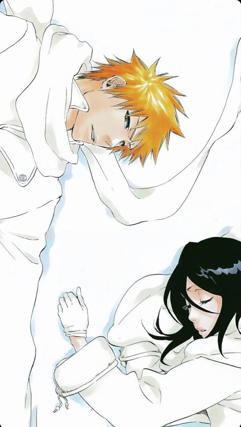 Rukia Kuchiki & Ichigo Kurosaki Ichigo X Rukia, Bleach Rukia, Ichigo Y Rukia, Rukia Kuchiki, Ichigo And Rukia, Kuchiki Rukia, Kurosaki Ichigo, Ichigo Kurosaki, Bleach (anime)