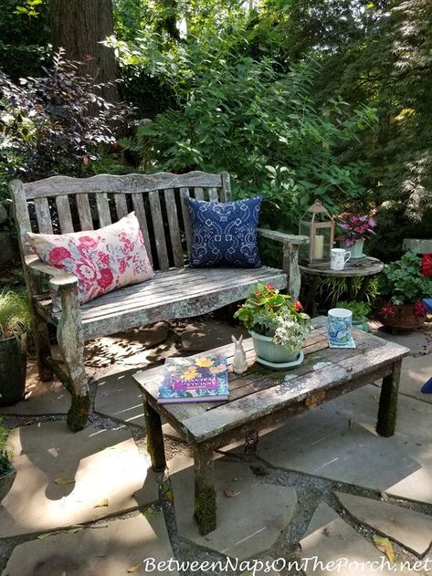 Front Garden Bench Ideas, Garden Bench Aesthetic, Garden Bench And Table, Bench In Garden Landscapes, Benches In Gardens, Bench In Front Of House, Garden Bench Ideas Landscaping, Bench Garden Ideas, Garden Bench Landscaping