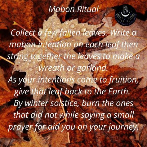 Blessed Mabon, Mabon Ritual, Autumnal Equinox Celebration, Wicca Holidays, Witches Wheel, Summer Solstice Ritual, Wiccan Sabbats, Green Witchcraft, Autumnal Equinox