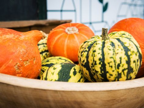 Hardening Off Squash – How To Store Squash Over The Winter Halloween Party Games, How To Store, Winter Squash, The Fruit, The Winter, Thanksgiving, Fruit