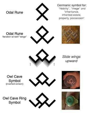 Odal Rune, Twin Peaks Tattoo, Twin Peaks Black Lodge, Twin Peaks Theme, Owl Symbol, Tattoo Owl, Twin Peaks Art, Twin Peaks Fire, Black Lodge