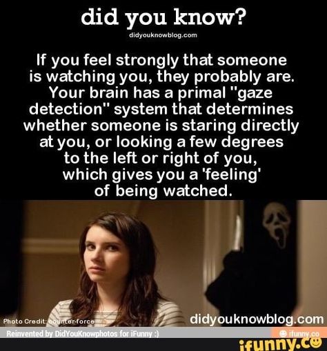 Did you know? If you feel strongly that someone is watching you, they probably are. Your brain has a primal "gaze detection" system that determines whether someone is staring directly atyou, or looking a few degrees to the left or right of you, which gives you a 'feeling' of being watched. - iFunny :) Physcology Facts, Wierd Facts, Physiological Facts, Psychological Facts Interesting, Being Watched, Interesting Science Facts, Brain Facts, True Interesting Facts, Interesting Facts About World