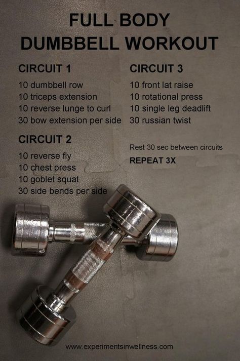 Combo Dumbbell Workout, Full Body Workout With Dumbbells, Workout Circuit, Full Body Dumbbell, Workout With Dumbbells, Dumbbell Workouts, Full Body Dumbbell Workout, Workout Hiit, Dumbell Workout