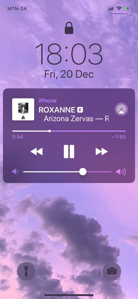 Roxanne Wallpaper, Roxanne Song, Alaska Honeymoon, Arizona Zervas, Tik Tok Songs, Alabama Travel, Uber Ride, We Love Each Other, Photography Course