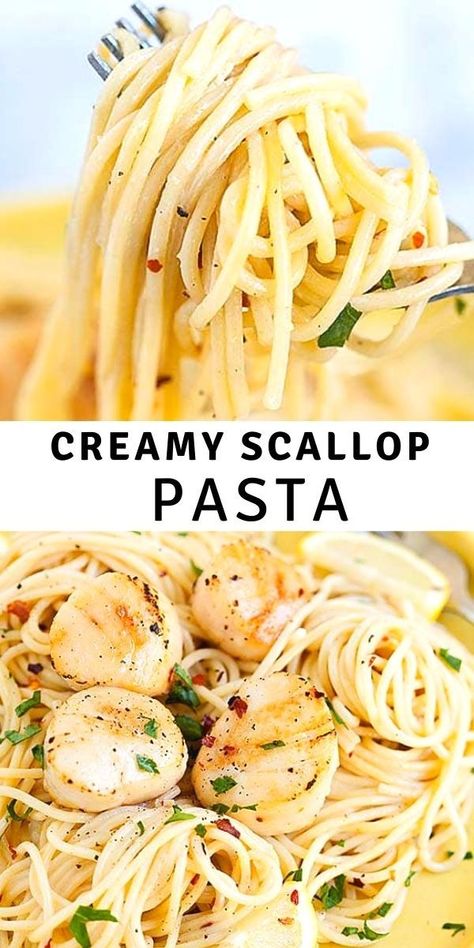 Creamy scallop pasta is a restaurant-quality pasta recipe loaded with succulent scallops in white wine cream sauce. So easy and delicious!! Scallop Meal Ideas, Scallops And Pasta Red Sauce, Creamy Scallops And Pasta, Scallops With Angel Hair Pasta, Scallop Fettucini Alfredo, Shrimp And Scallop Pasta In White Wine Cream Sauce, Scallops Fettuccine Alfredo, Shrimp And Scallop Alfredo Pasta, Scallops And Angel Hair Pasta